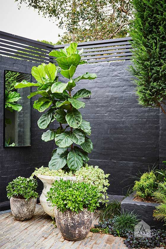 The Charm of Small Garden Walls: Aesthetic and Functional Additions for Outdoor Spaces