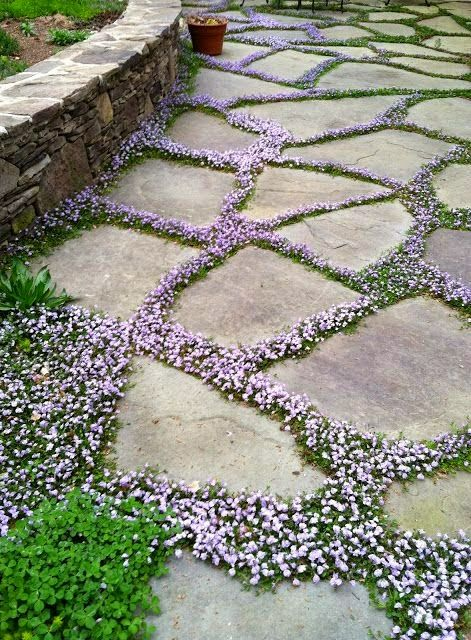 The Enchanting Journey of a Garden Path