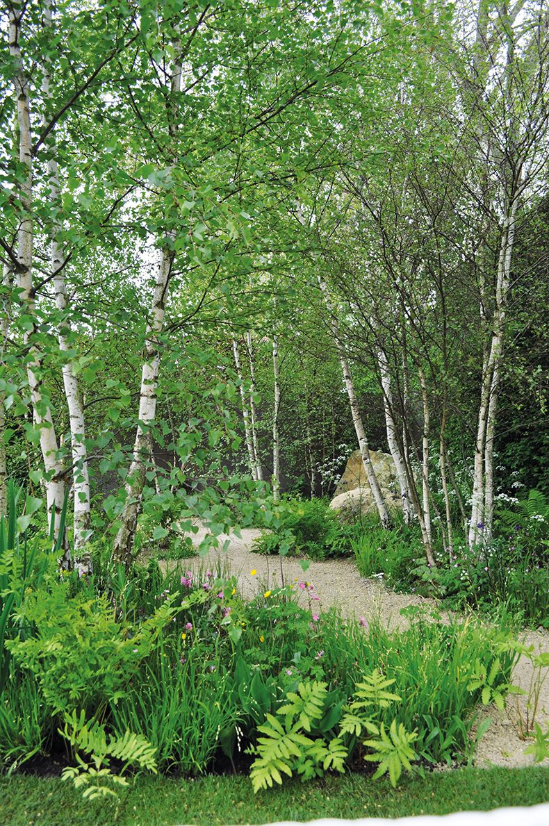 The Essential Elements of Garden Design:
Trees as Key Features