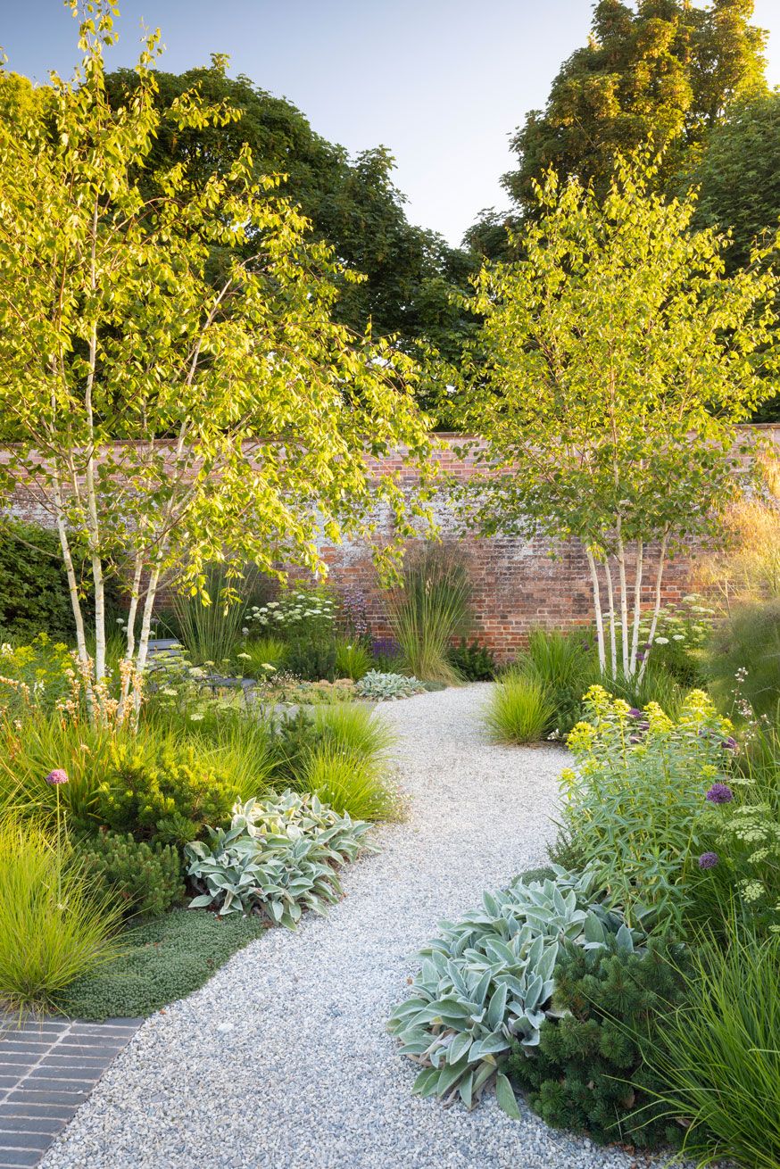 The Ever-Evolving Landscape: Exploring the Beauty of Modern Gardens