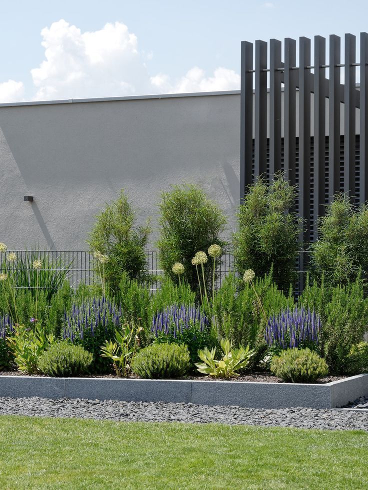 The Evolution of Contemporary Gardens: A Look at Modern Outdoor Spaces