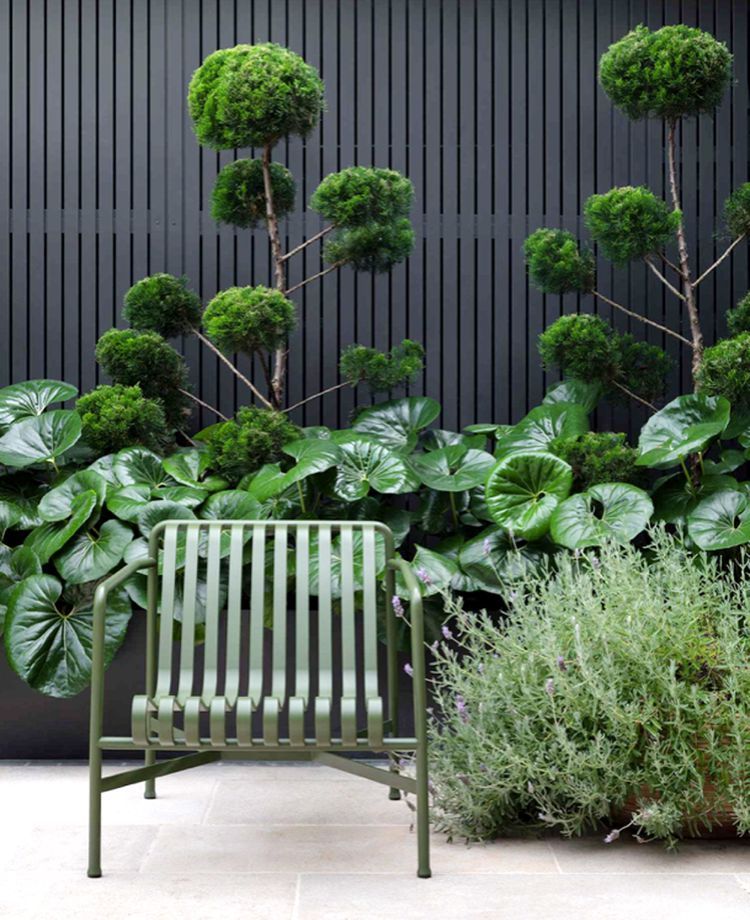 The Evolution of Contemporary Gardens: A New Approach to Green Spaces