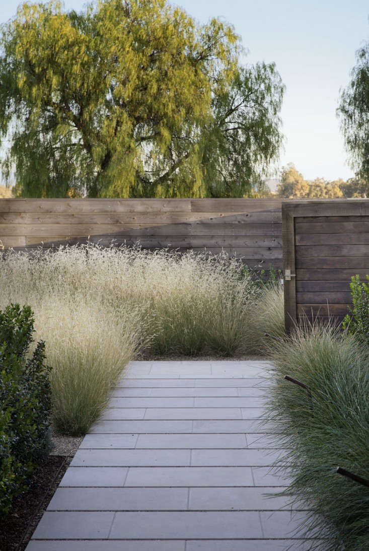 The Evolution of Contemporary Outdoor Spaces: A Look at the Modern Garden