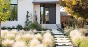 modern landscape design front yard