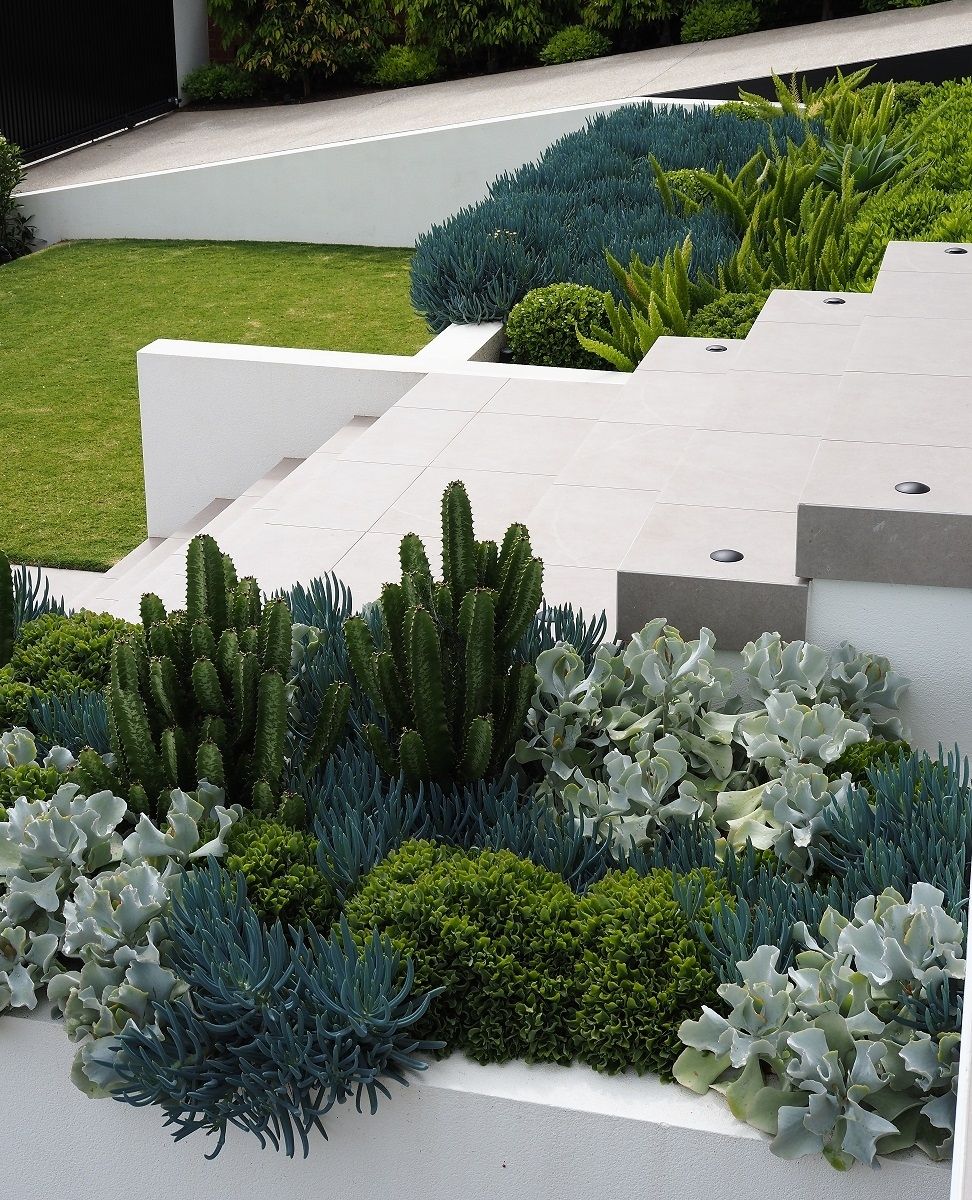 The Evolution of Garden Design: Embracing Contemporary Trends