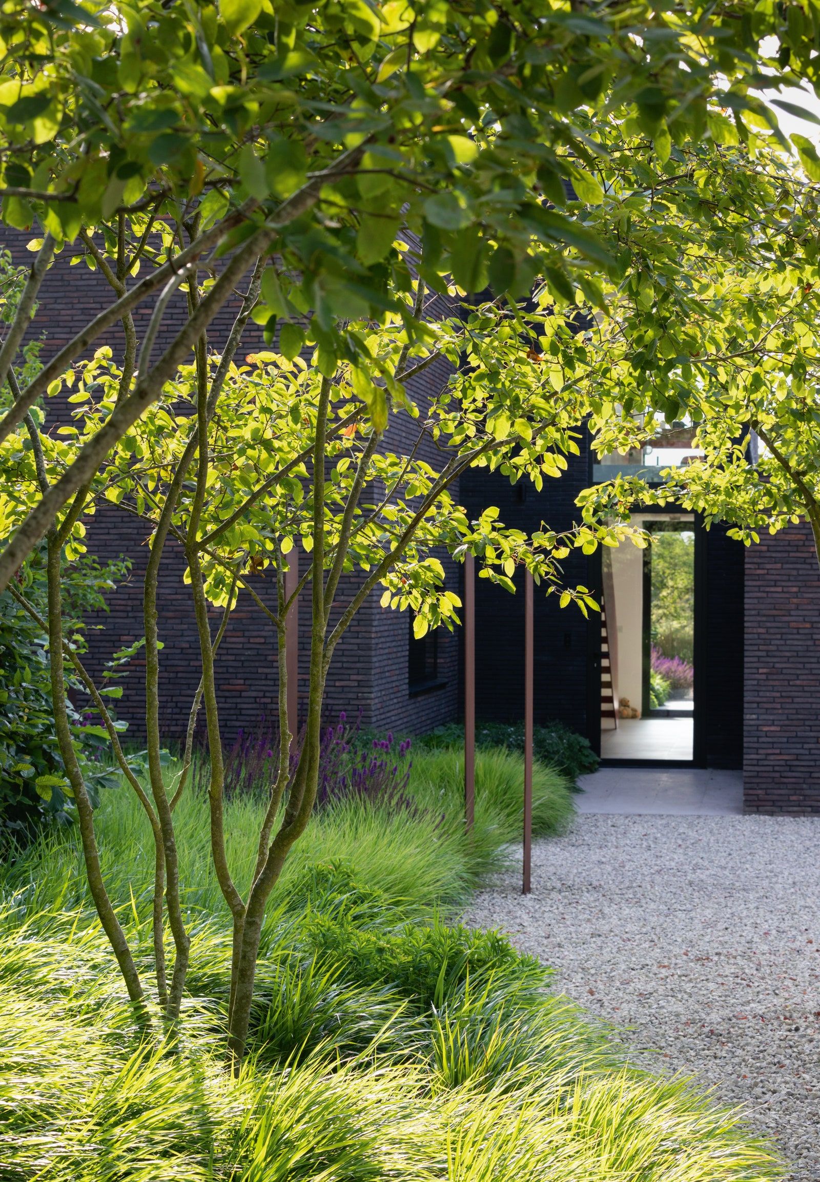 The Evolution of Today’s Gardens: A Look at Modern Landscape Design