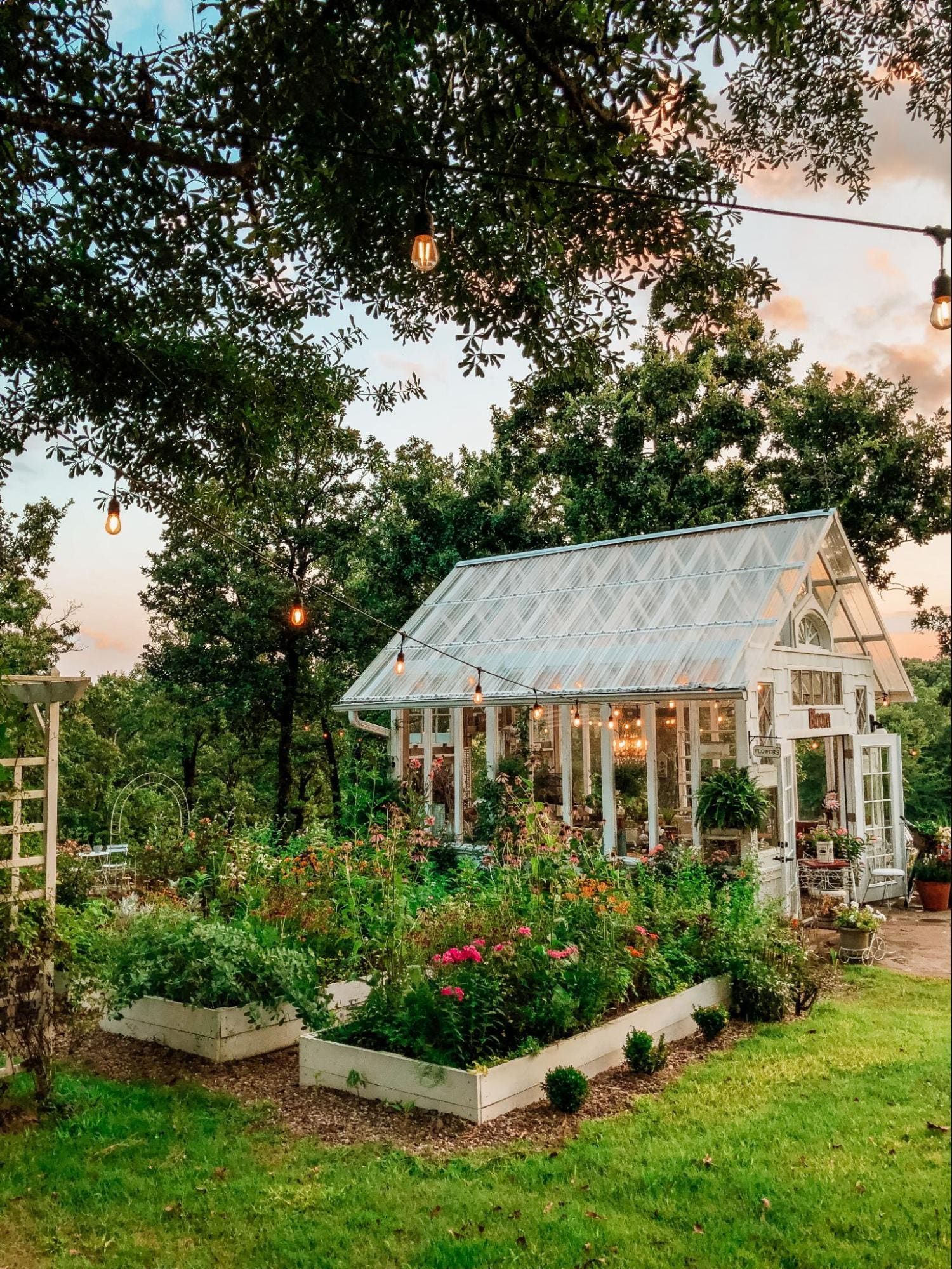 The Greenhouse: A Haven for Growing Plants in Any Season