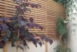 garden fencing