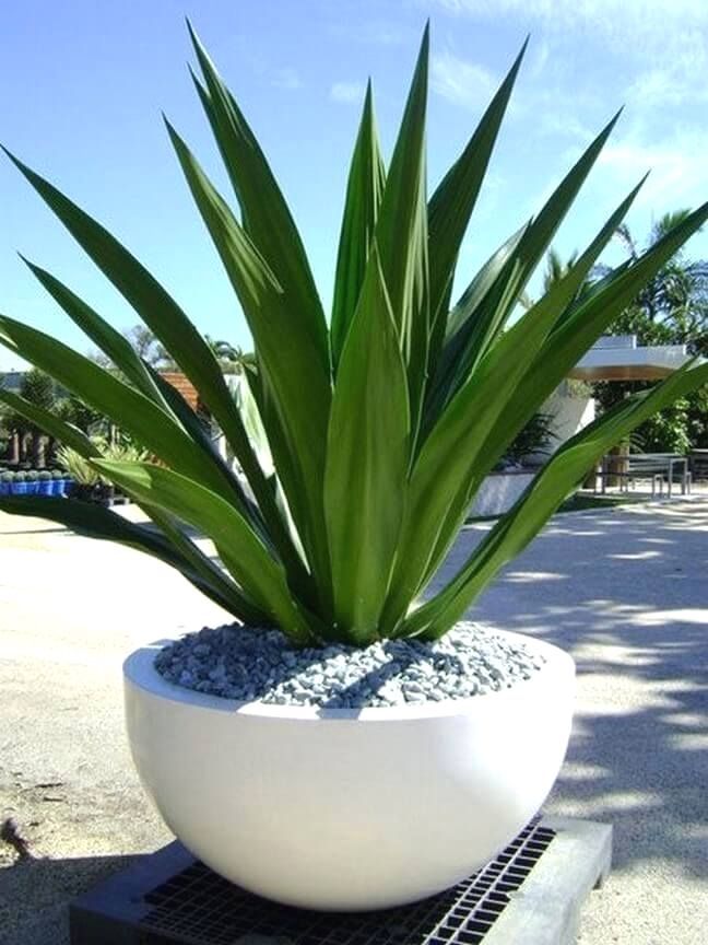 The Importance of Garden Planter Pots in Enhancing Outdoor Spaces