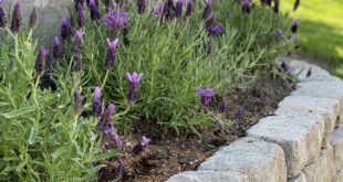 landscaping retaining walls