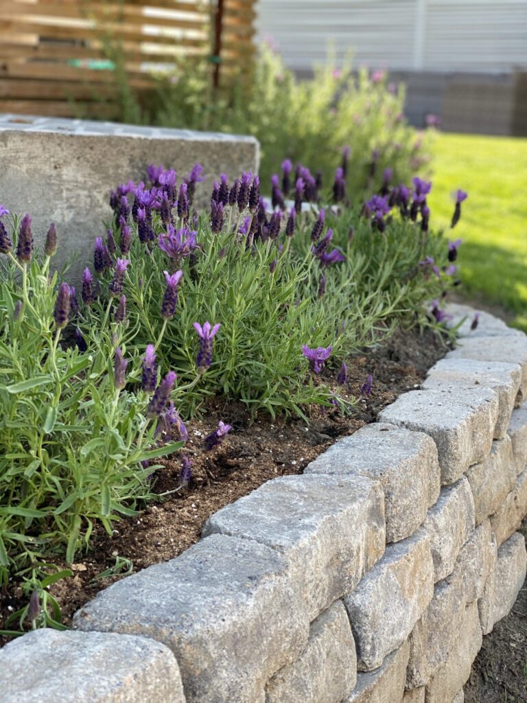 landscaping retaining walls