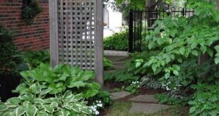 side yard gate