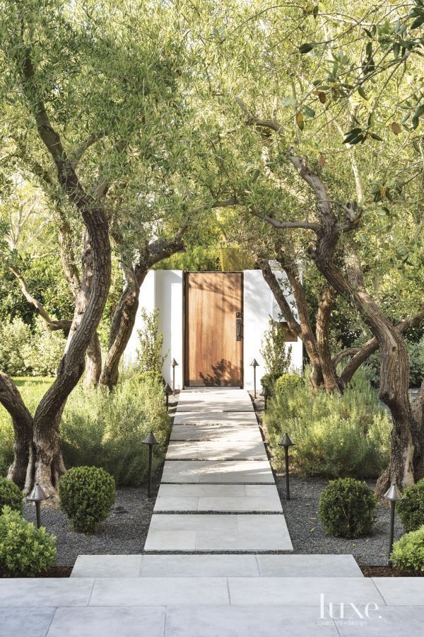 The Modern Approach to Front Yard Landscape Design