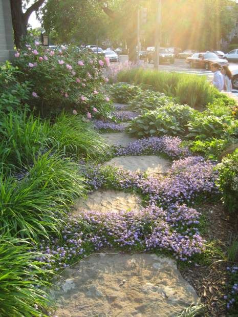 The Path Forward: A Guide to Stepping Stones in Life