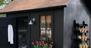 outdoor shed