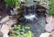 backyard pond