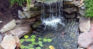 backyard pond