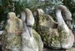 french garden planters