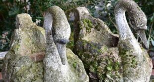 french garden planters