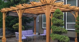 cedar pergola