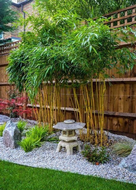 The Tranquil Beauty of a Japanese Zen Garden