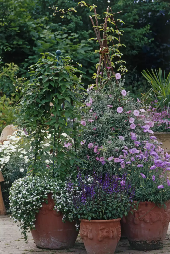 garden planter pots