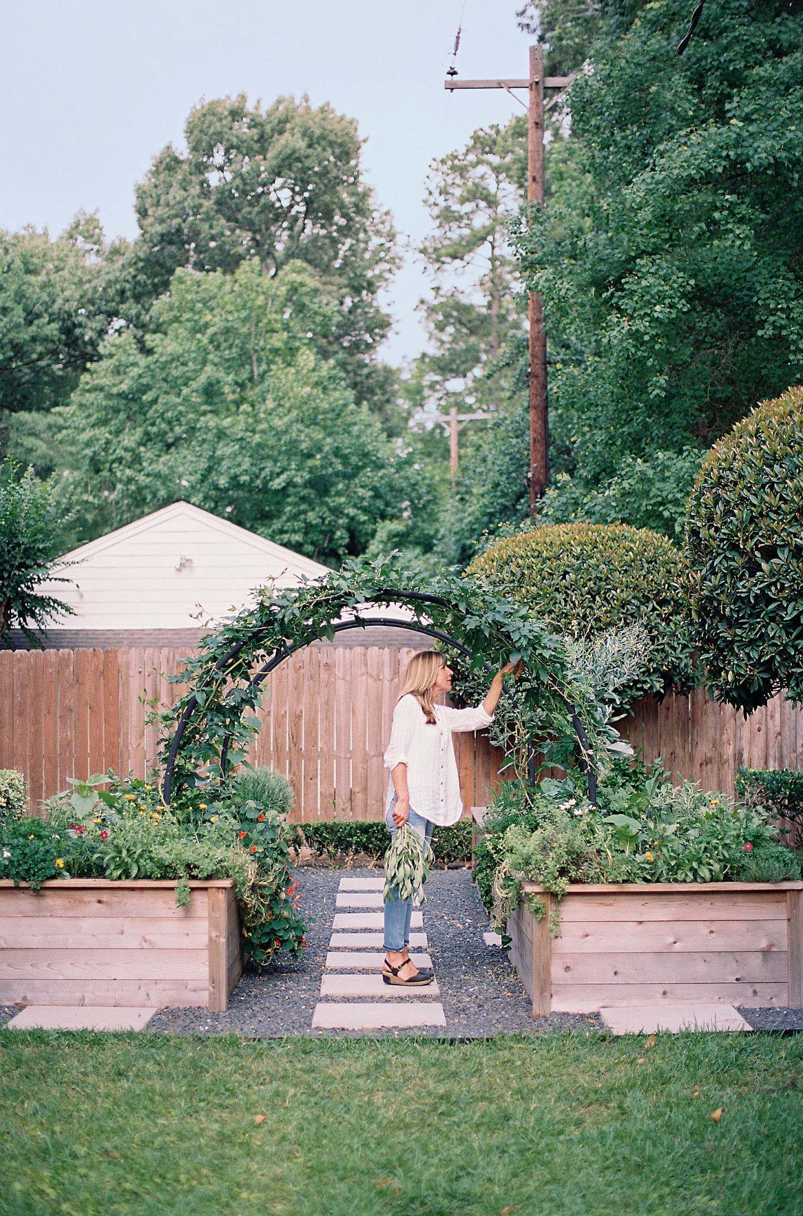 The Ultimate Guide to Creating Your Dream Backyard Garden