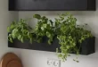 kitchen herb garden planter