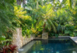 tropical pool landscaping