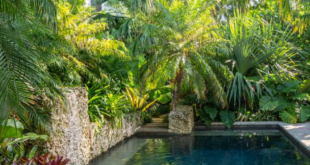 tropical pool landscaping