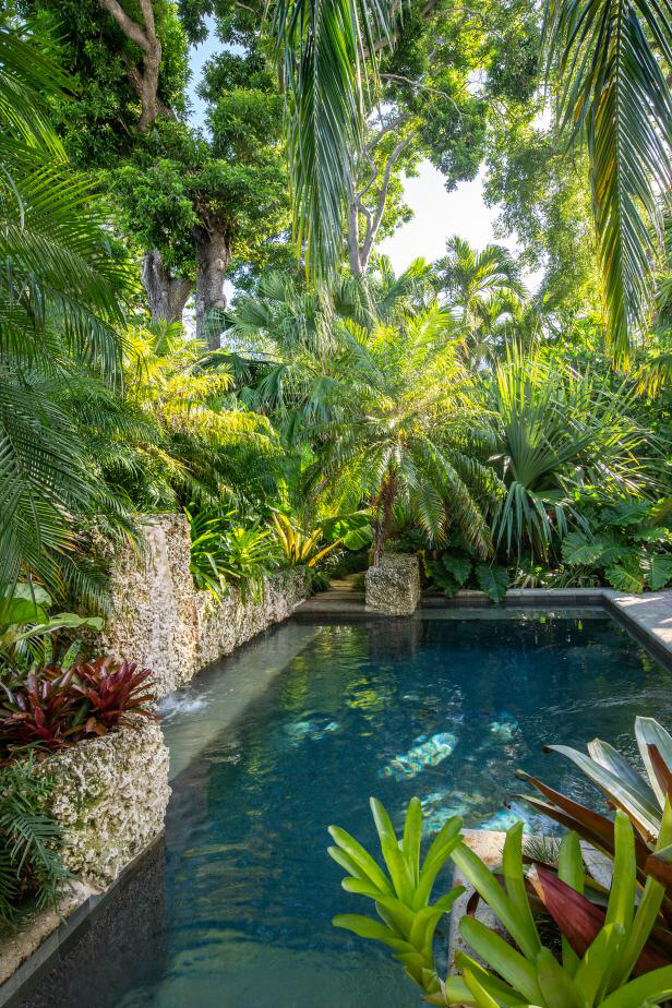 The Ultimate Guide to Creating a Lush Tropical Oasis Around Your Pool