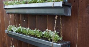 herb garden outdoor planter