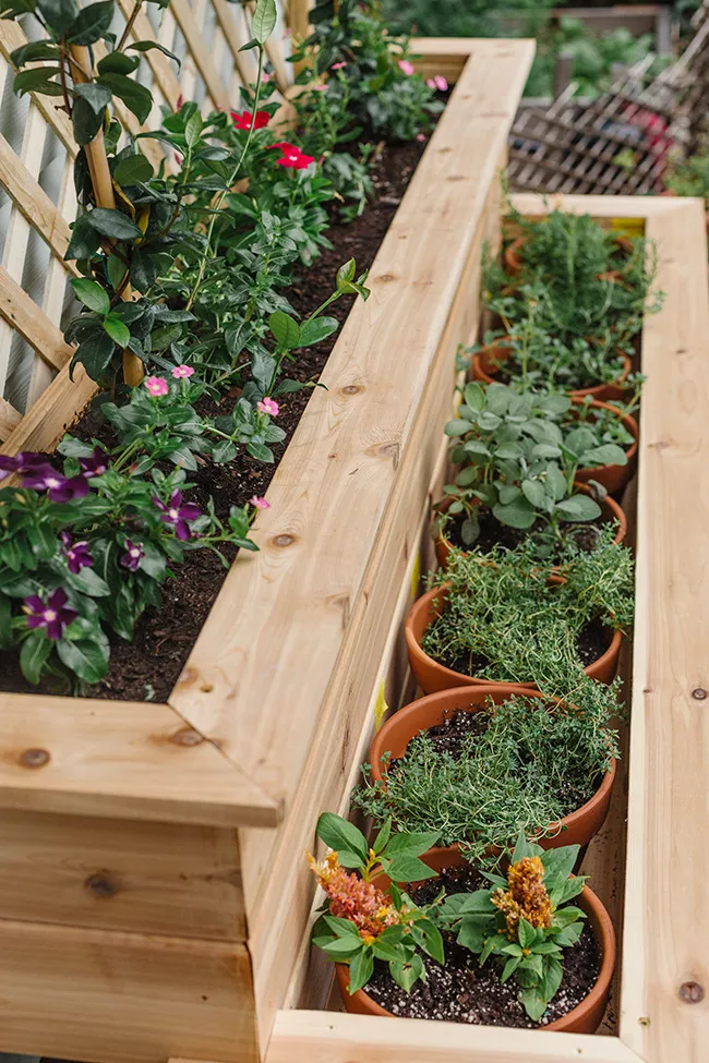 The Ultimate Guide to Creating an Outdoor Herb Garden in a Planter