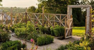 landscaping vegetable garden