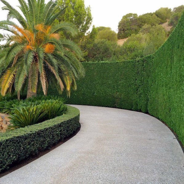 The Ultimate Guide to Enhancing Your Driveway with Landscaping