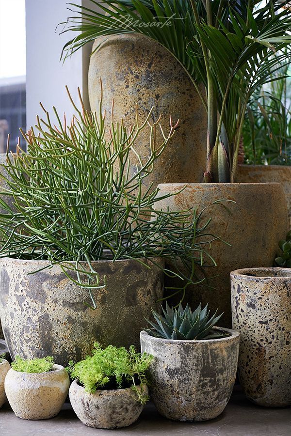 The Ultimate Guide to Garden Planter Pots: Finding the Perfect Container for Your Plants