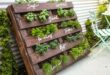 herb garden outdoor planter