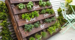 herb garden outdoor planter