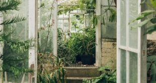 garden greenhouse