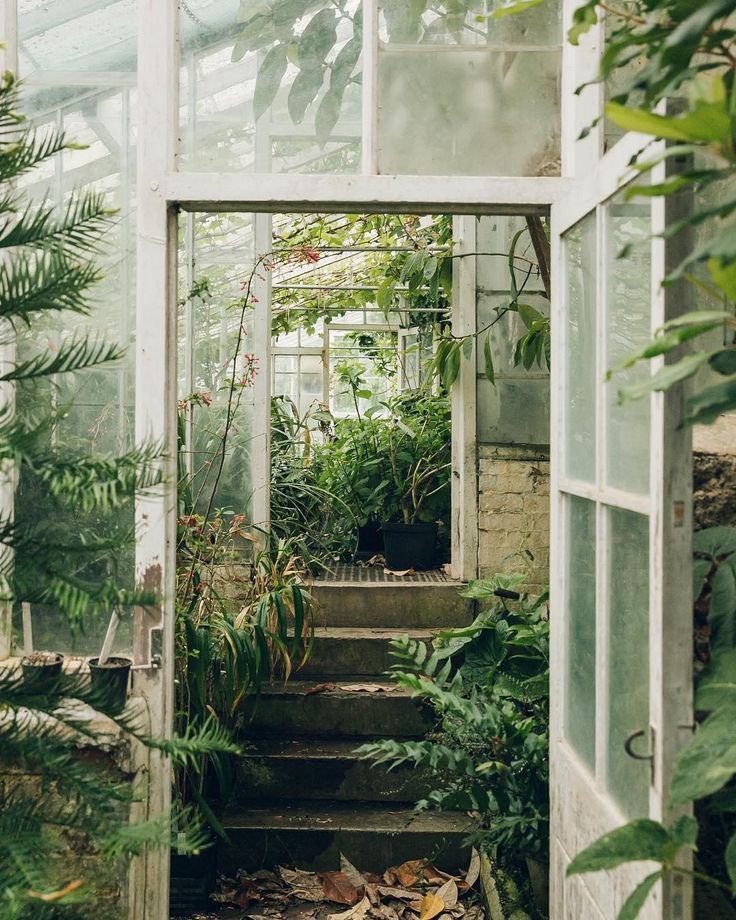 garden greenhouse