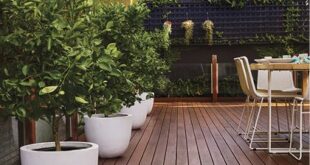 timber decking