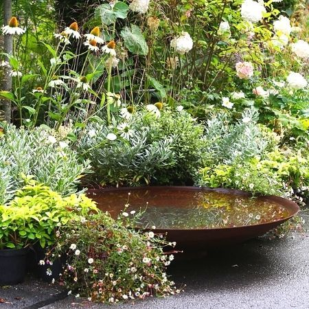 The beauty of creating a tranquil oasis: Water gardens as a peaceful escape