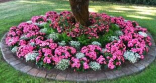 flowers around tree front yards