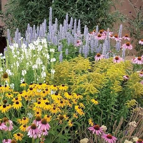 The charm of cottage gardens