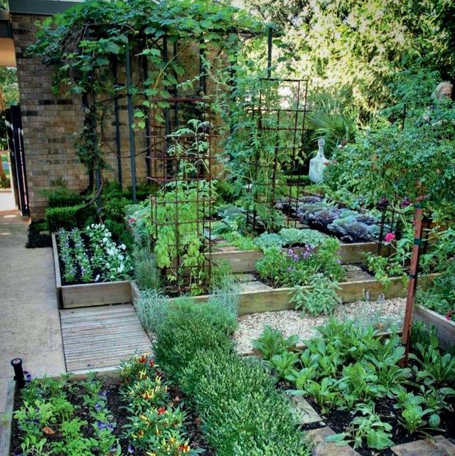 Thriving Urban Oasis: The Art of Home Gardening