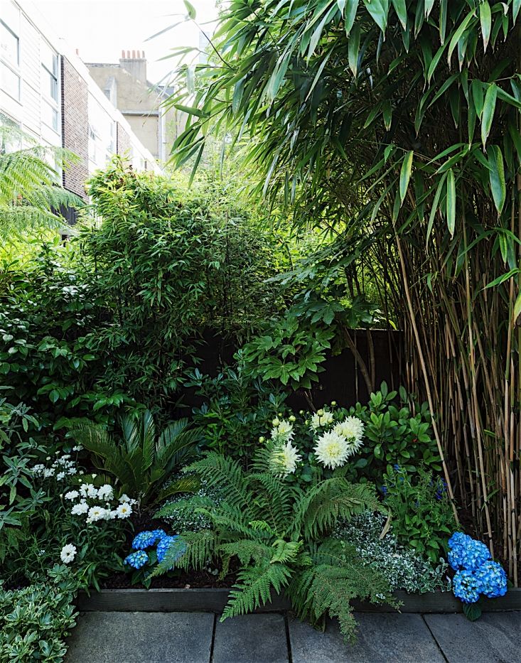 Tiny Garden Transformation: Creative Landscaping Ideas for Small Spaces