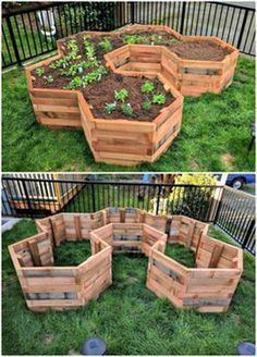 Tips for Building Your Own Raised Garden Beds from Scratch