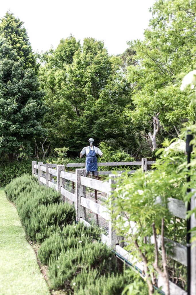 garden fence