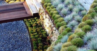 landscaping on a slope