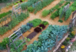 landscaping vegetable garden